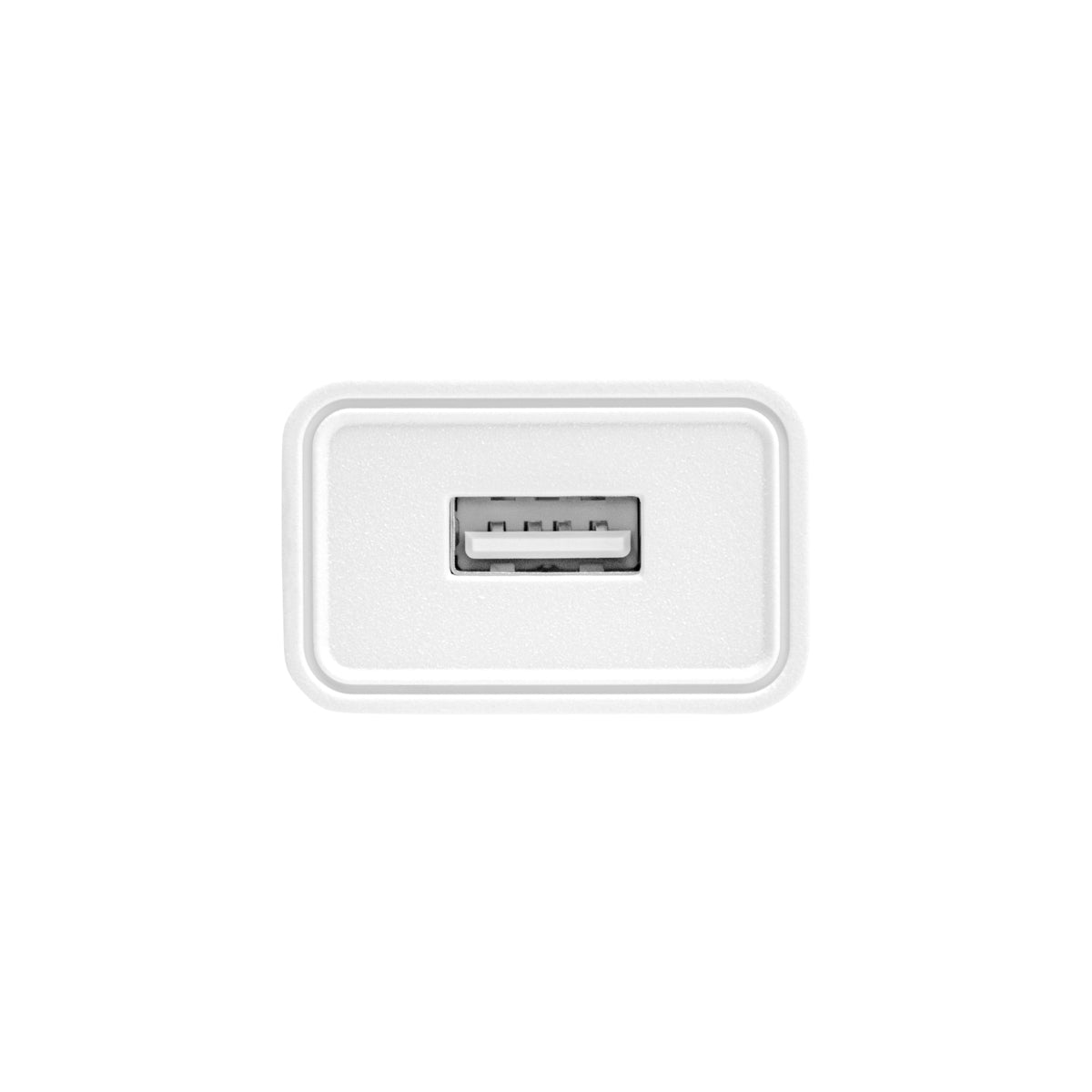 3-ACTIVESHOP-3