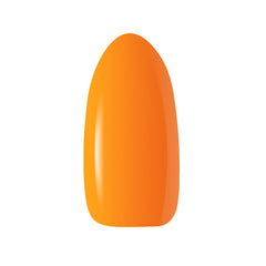 3-CLARESA-3