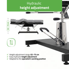 -2-Alora Black Hydraulic Beauty Chair | Habys-2
